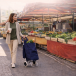 Сумка на колесах для покупок